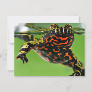 Orientalischer Feuerbummel Postkarte