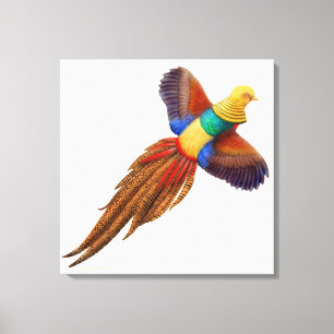 Orientalischer Golden Pheasant gezackte Canvas Leinwanddruck