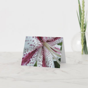 Orientalischer Liliennotecard Karte