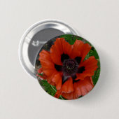 Orientalischer Mohn Button (Vorne & Hinten)