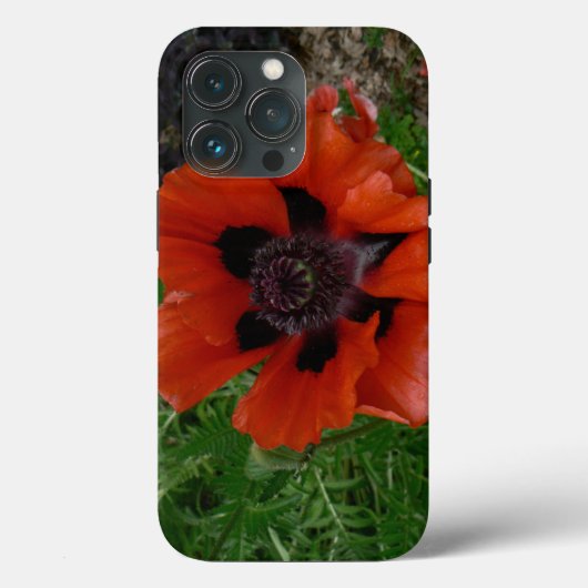 Orientalischer Mohn Case-Mate iPhone Hülle (Rückseite)