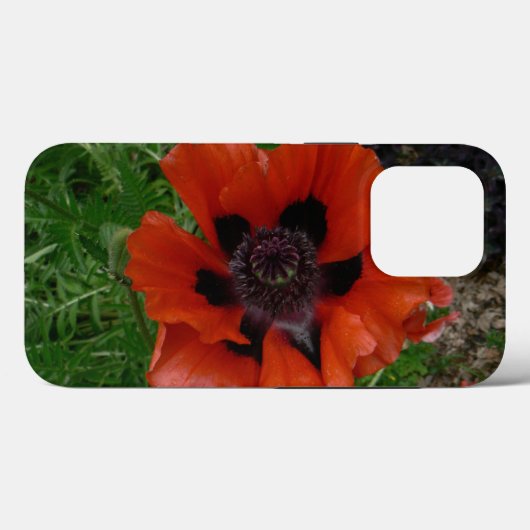 Orientalischer Mohn Case-Mate iPhone Hülle (Rückseite (Horizontal))