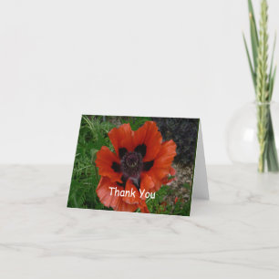 Orientalischer Mohn Dankeskarte