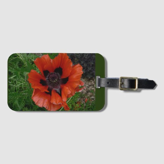 Orientalischer Mohn Gepäckanhänger (Vorderseite (Horizontal))