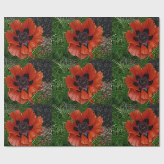 Orientalischer Mohn Geschenkpapier (Flach)