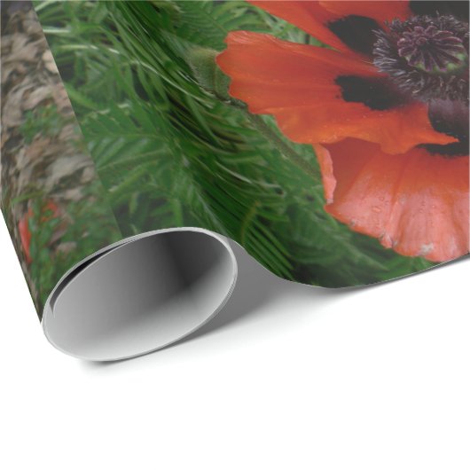 Orientalischer Mohn Geschenkpapier (Rolleneckpunkt)