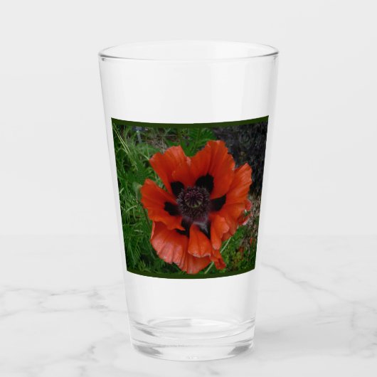 Orientalischer Mohn Glas (Vorderseite)