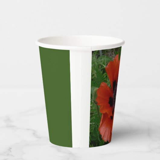 Orientalischer Mohn Pappbecher (Rechts)