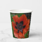 Orientalischer Mohn Pappbecher (Vorderseite)