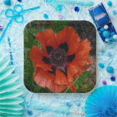 Orientalischer Mohn Pappteller (Party)