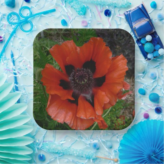 Orientalischer Mohn Pappteller (Party)