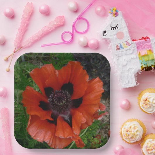 Orientalischer Mohn Pappteller (Party)