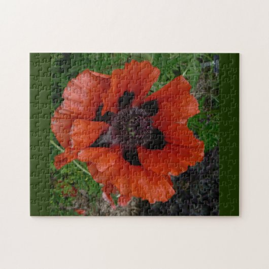 Orientalischer Mohn Puzzle (Horizontal)