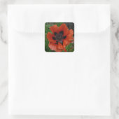 Orientalischer Mohn Quadratischer Aufkleber (Tasche)