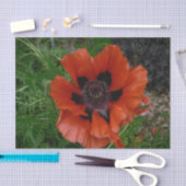 Orientalischer Mohn Seidenpapier (Handwerk)