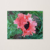 Orientalischer POPPY "Pink Ruffles" — Puzzle (Horizontal)