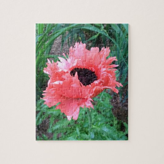 Orientalischer POPPY "Pink Ruffles" — Puzzle (Vertikal)