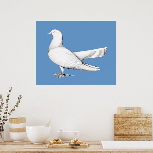 Orientalischer Roller-Taube Poster (Küche)