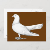 Orientalischer Roller-Taube Postkarte (Vorne/Hinten)