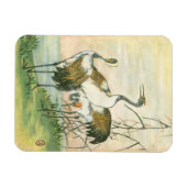 Orientalkrane am Wasser Magnet (Horizontal)