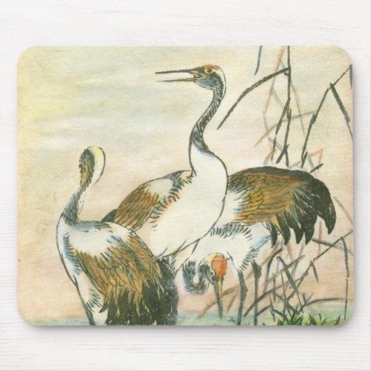 Orientalkrane am Wasser Mousepad (Vorne)