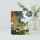 Origami Postkarte (Stehend Vorderseite)