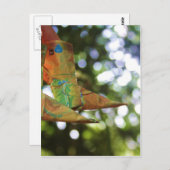 Origami Postkarte (Vorne/Hinten)