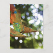 Origami Postkarte (Vorderseite)