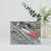 Original AJS Bleistift Popper Fishing Lure Postkarte (Stehend Vorderseite)
