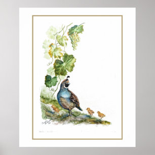 Original-Aquarell-Kalifornische Wachtelfamilie mit Poster