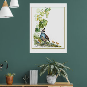 Original-Aquarell Kalifornische Wachtelfamilie Tra Poster
