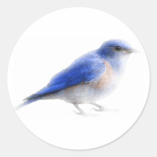 Original Aquarellblauer Vogel (Blauvogel) Aufklebe Runder Aufkleber (Vorderseite)