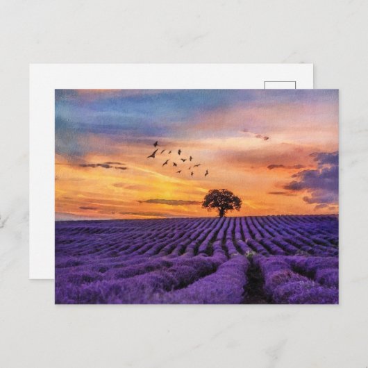 Original Art Lone Tree Friedliche Landschaft Postkarte (Vorne/Hinten)