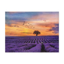 Original Art Lone Tree Friedliche Landschaft