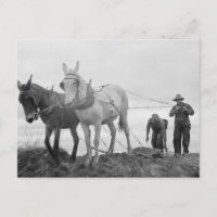 Original Bio Garten, alter Bauernhof