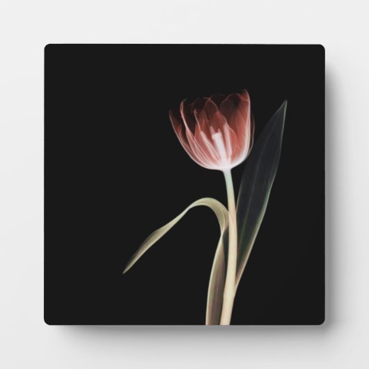 Original Blume Ray Style Leaf Art Plaque Fotoplatte (Vorderseite)