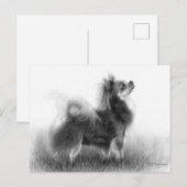 Original Chihuahua-Malerei Postkarte (Vorne/Hinten)