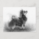 Original Chihuahua-Malerei Postkarte (Vorderseite)