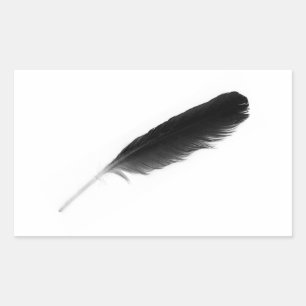 Original Cute Black Feather haben wir White Backgr Rechteckiger Aufkleber