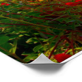 Original Foto Art Poster (Ecke)