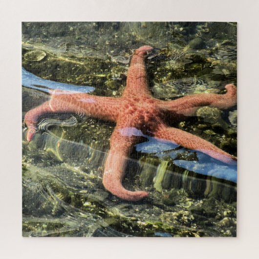 Original Foto von Starfish unter Wasser Puzzle (Vertikal)