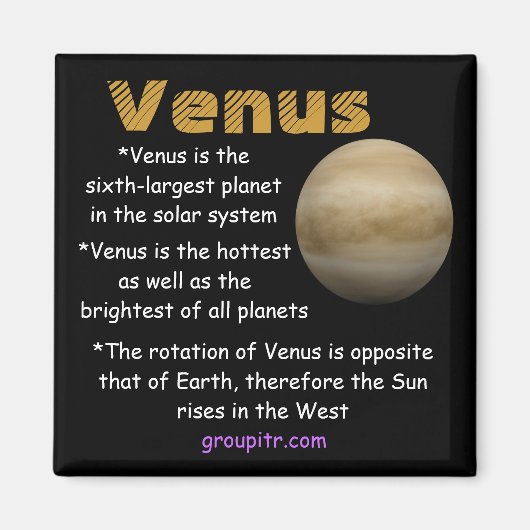 Original Groupitr Venus Magnet (Vorne)