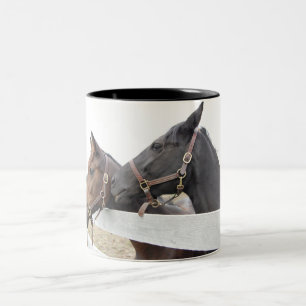 Original Horse Whisperer Zweifarbige Tasse