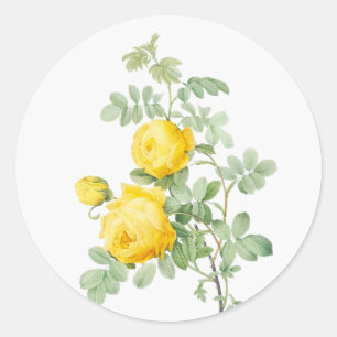 Original Kunst Aquarell Garten Blumen Rosen Runder Aufkleber