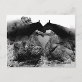 Original Postkarten (Vorderseite)