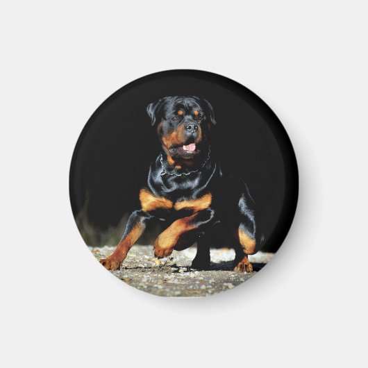 Original Rottweiler Magnet (Vorne)