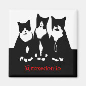 Original TuxedoTrio Magnet (Vorne)