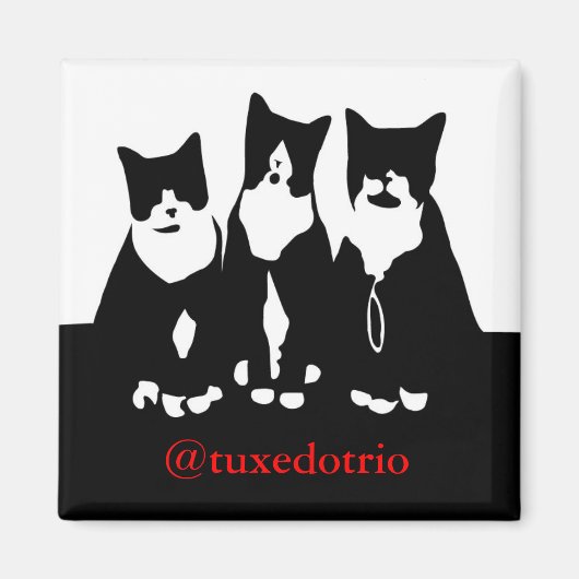 Original TuxedoTrio Magnet (Vorne)