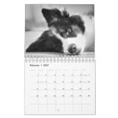 Original Unique Border Collie Dog Kalender (Feb 2027)