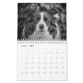 Original Unique Border Collie Dog Kalender (Jan 2027)